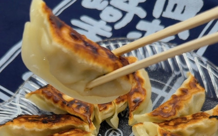 ＜数量限定＞まぐろ問屋の原料にとことんこだわった 三崎港直送めかじき餃子 M040-006 冷凍 マグロ 加工品