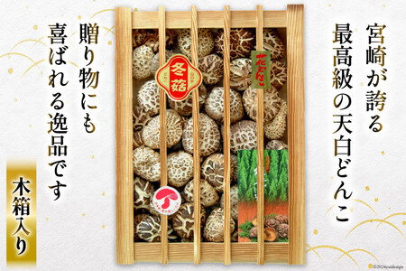 宮崎県産 乾椎茸 ギフト 天白 どんこ 「K-100」 290g 肉厚 [岡田商店 宮崎県 美郷町 31ac0037]