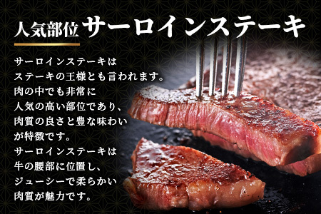 佐賀牛A5ランク サーロインステーキブロック肉 3㎏ V-52