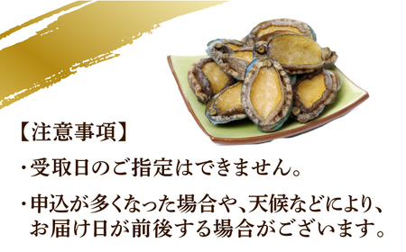 【全3回定期便】上五島産養殖ひとくちアワビ 活 厳選 20個 刺身 ステーキ 生[RAE006] アワビ あわび 定期便 アワビ あわび 定期便 アワビ あわび 定期便九州 長崎
