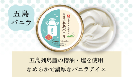 【全12回定期便】アイス3種 計12個[RAX019] アイス スイーツ お菓子 定期便 アイス スイーツ お菓子 定期便 アイス スイーツ お菓子 定期便九州 長崎