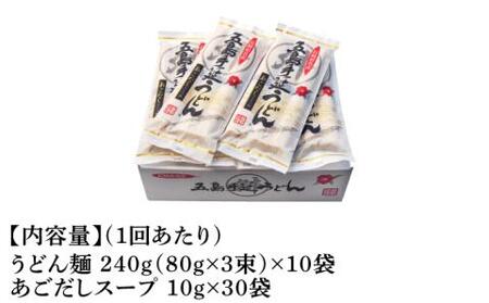 【全12回定期便】五島うどん 240g（80g×3束）×10袋 スープ付 / 五島うどん[RAX025] 五島うどん うどん 定期便 五島うどん うどん 定期便 五島うどん うどん 定期便九州 長崎