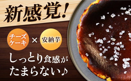【全3回定期便】チーズケーキ 塩あんのう 2個 ケーキ 塩 芋 スイーツ お菓子 菓子[RBA020] チーズケーキ 定期便 チーズケーキ 定期便 チーズケーキ 定期便 チーズケーキ 定期便九州 長崎