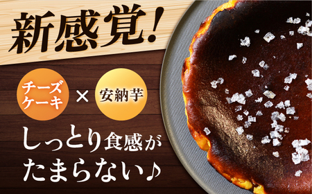 【全12回定期便】チーズケーキ 塩あんのう 2個 ケーキ 塩 芋 スイーツ お菓子 菓子[RBA022] チーズケーキ 定期便 チーズケーキ 定期便 チーズケーキ 定期便九州 長崎