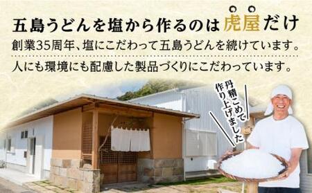 【全6回定期便】五島列島詰め合わせ[RBA033] 五島うどん うどん 詰め合わせ 定期便 五島うどん うどん 詰め合わせ 定期便九州 長崎