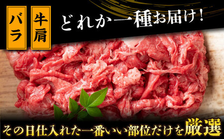 長崎和牛 切り落とし 1kg (500g×2） [DBS006] 切り落とし 牛肉