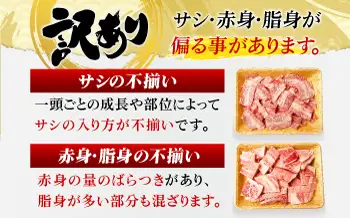 【6回定期便】【訳あり】 A4-A5 長崎和牛 焼肉切り落とし (肩ロース・バラ） 500g [DBS043] 訳アリ 牛肉