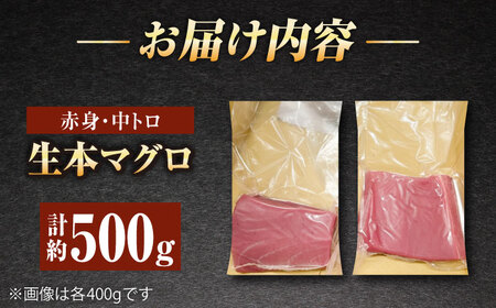 【冷蔵だから人気！】生本マグロ 赤身 中トロ 計約500g [RBP003] 