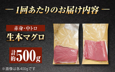【全3回定期便】五島列島産養殖生本かみマグロ 赤身 中トロ 計約500g[RBP029] まぐろ まぐろ まぐろ まぐろ まぐろ 中トロ 中トロ 九州 長崎