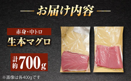 五島列島産養殖生本かみまぐろ 赤身 中トロ 刺身 計約700g[RBP052] 本マグロ 本まぐろ 本マグロ 本まぐろ 本マグロ 本まぐろ 本マグロ 本まぐろ 本マグロ 本まぐろ九州 長崎