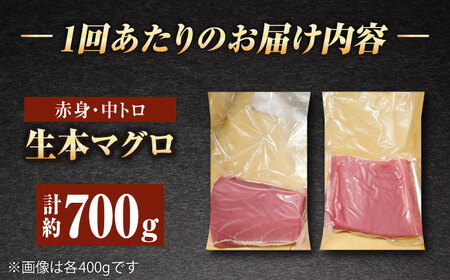 【全6回定期便】五島列島産養殖生本かみまぐろ 赤身 中トロ 計約700g[RBP068] 本マグロ 本まぐろ 定期便 本マグロ 本まぐろ 定期便 本マグロ 本まぐろ 定期便九州 長崎