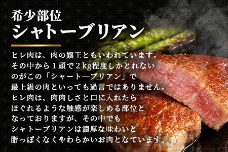 佐賀牛 最高級部位『シャトーブリアン』800ｇ（200ｇ×４枚）N-19