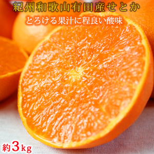 【全3回】紀州和歌山産旬の柑橘定期便(みかん・不知火・せとか)【tkb382】