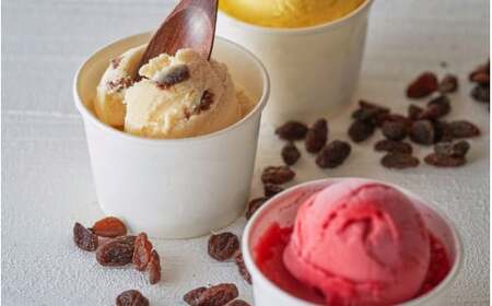 アイス ＆ ジェラート 16個×146ml | アイスクリーム