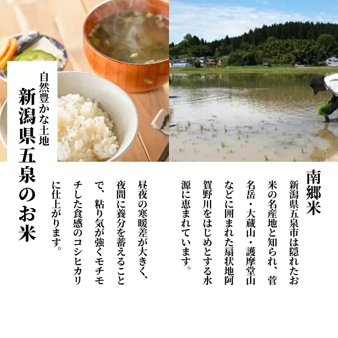 令和7年度産 新之助 精米 10kg（5kg×2袋）| 新潟県産 新之助