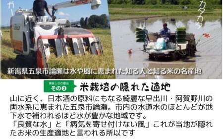 令和7年産 五泉産コシヒカリ 5kg わくわく農場 | 新潟県 コシヒカリ