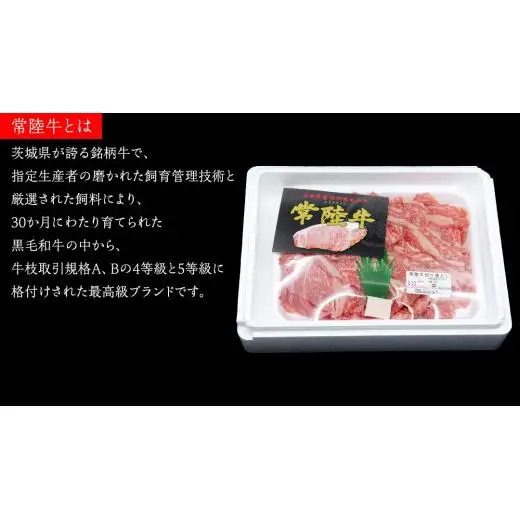 常陸牛 切り落とし 約 600g （茨城県共通返礼品：行方市）