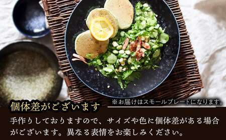 【美濃焼】 テラグラーズ スモールプレート オリビエ 5客揃 瑞浪市 / アワサカ 食器 皿 プレート [AZAD021]