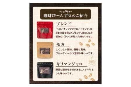 自家焙煎 珈琲粉 こだわりセット 合計3袋 400g 