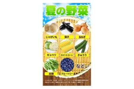 ＜先行予約＞ 旬の新鮮な 野菜便 7月夏便 8～10品  野菜