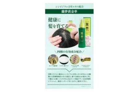 蘭夢 シャンプー コンディショナー 育毛剤 計3本