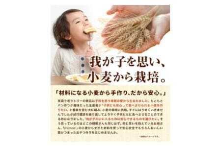 美馬市産 薄力粉 1.3kg お菓子
