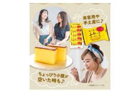 和三盆のチーズケーキ 計10個入り