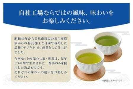深むし茶と煎茶お試し詰合せセット 計6袋