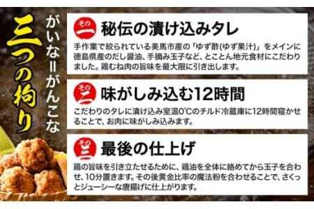  柚子薫る がいな 黄金からあげ  400g × 3パック