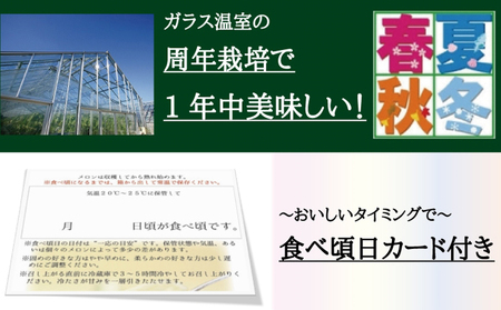 クラウンメロン『山等級』２玉詰【桐箱入】 果物類 メロン青肉 桐箱入り 