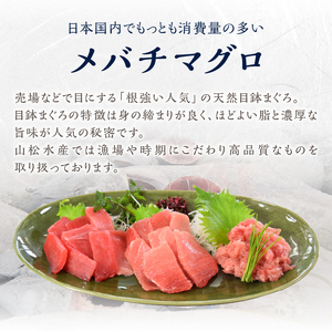 a10-358　あらびきネギトロとマグロスライス四点盛り