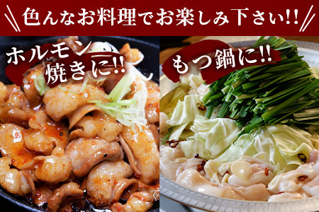 熊本和牛 あか牛 ミックスホルモン2kg（500g×4パック）もつ鍋 焼肉 BBQ 046-0653