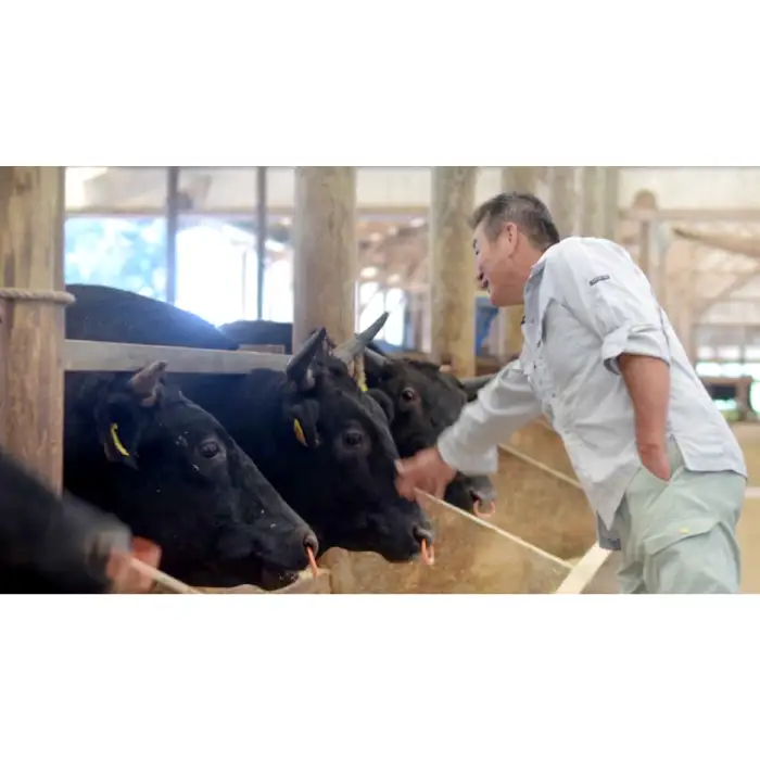【冷蔵配送】全国大会Ｗ受賞！奥出雲和牛肩ロースしゃぶしゃぶ肉400g【黒毛和牛 しゃぶしゃぶ 肩ロース 400g 和牛 牛肉 冷蔵】