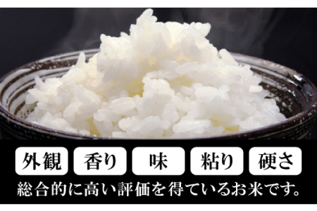 出雲國仁多米10kg【仁多米 コシヒカリ こしひかり 5kg×2袋 合計10kg ブランド米 お米 米 精米 白米 人気 令和7年度産 2025年度産】