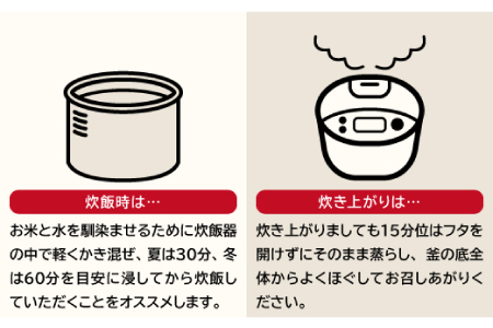 【無洗米】仁多米こしひかり8㎏【無洗米 米 仁多米 2kg 4袋 合計8kg コシヒカリ こしひかり 小分け 便利 お手軽 お米 米 白米 精米 ブランド米 贈り物 プレゼント】