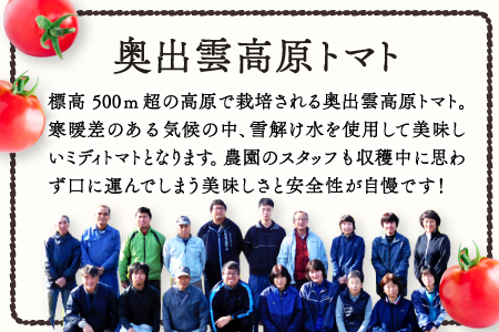 無塩･無添加トマトジュース｢奥出雲美人｣12本【トマトジュース 無添加 無塩 国産 砂糖不使用 720ml 12本 セット 100%ジュース 野菜ジュース 飲料 料理 健康 美容 安心 安全 リコピン 野菜 贈答 贈り物 プレゼント ギフト】