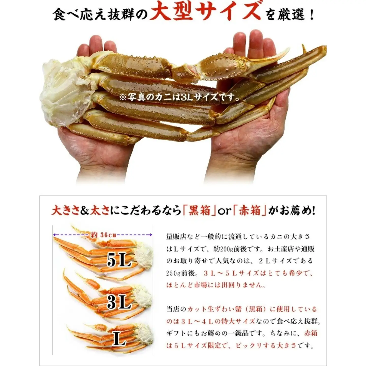 カット生ずわい蟹（高級品/黒箱）内容量4000g/総重量5200g　[024-b424_fn]