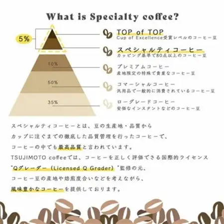 【毎月定期便】スペシャルティコーヒー豆　3種おまかせセット　600g　豆のまま　辻本珈琲全6回【4054541】