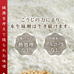 a12-236　味噌 糀 手造り 職人 約800g×3袋+3年 赤味噌 約120g