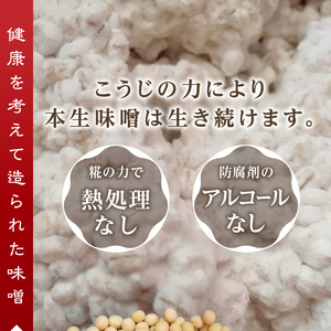 a12-237　味噌 白 手造り 職人 約800g×3袋+3年 赤味噌 約120g