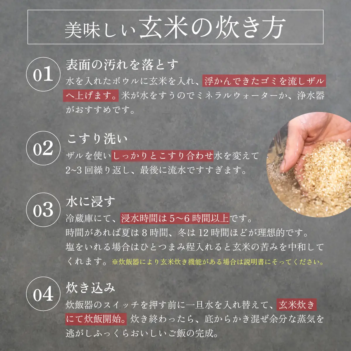 令和７年産  自然栽培米 永平寺町産 コシヒカリ 玄米 5kg  無農薬 化学肥料 除草剤 不使用 福井県 永平寺