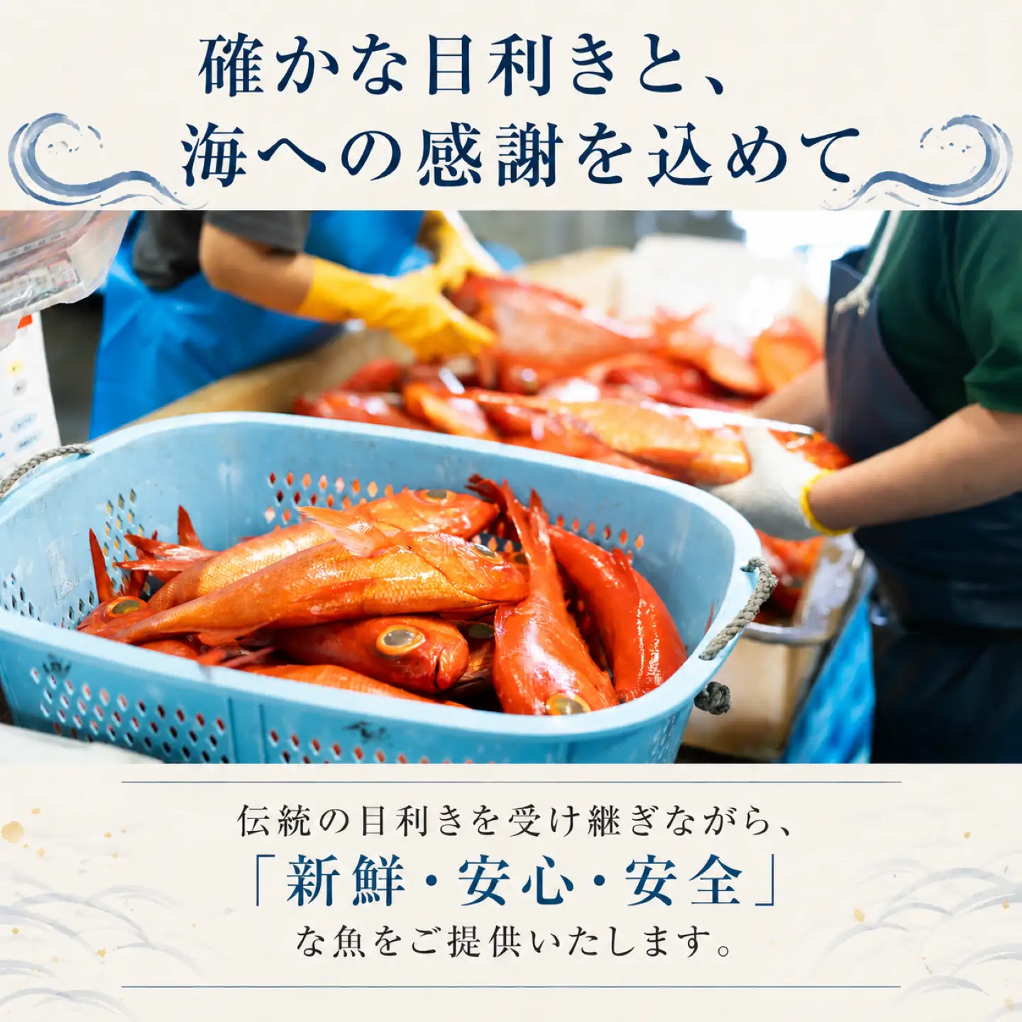 天然真鯛 切り身 干物 骨取り 30枚 鯛