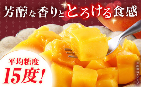【冷凍】プリンセスマンゴー 約1kg[QAT013] マンゴー