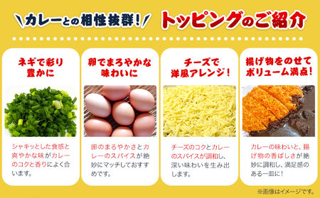 名物カレー丼 5個入