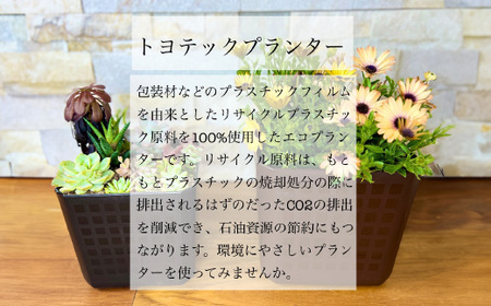 【エコ製品】トヨテックプランター 白 4サイズセット(4・5・6・6.5号)