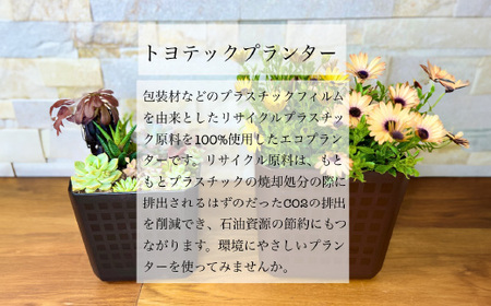 【エコ製品】トヨテックプランター 茶 4サイズセット(4・5・6・6.5号)