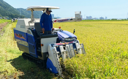 《令和７年産》【米屋新蔵】関東一の極早生米『五百川』５kg　[0016-0026]