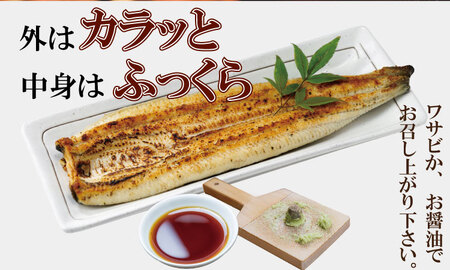 職人手焼き 国産うなぎ（白焼き2尾） 鰻 屋 川べえ  C230-006