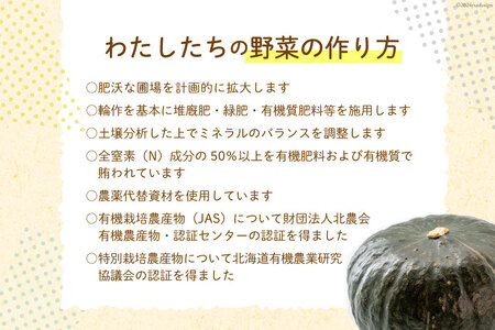 【先行受付】数量限定 野菜 けんぶち産農産物セット 3種 計10kg [剣淵・生命を育てる大地の会 北海道 剣淵町 14656147]