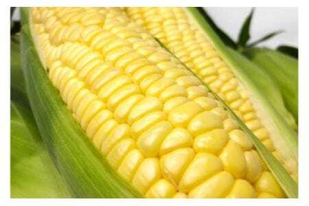 10回定期便 【剣淵町産】 けんぶち定期便 [けんぶちVIVAマルシェ 北海道 剣淵町 14656275]